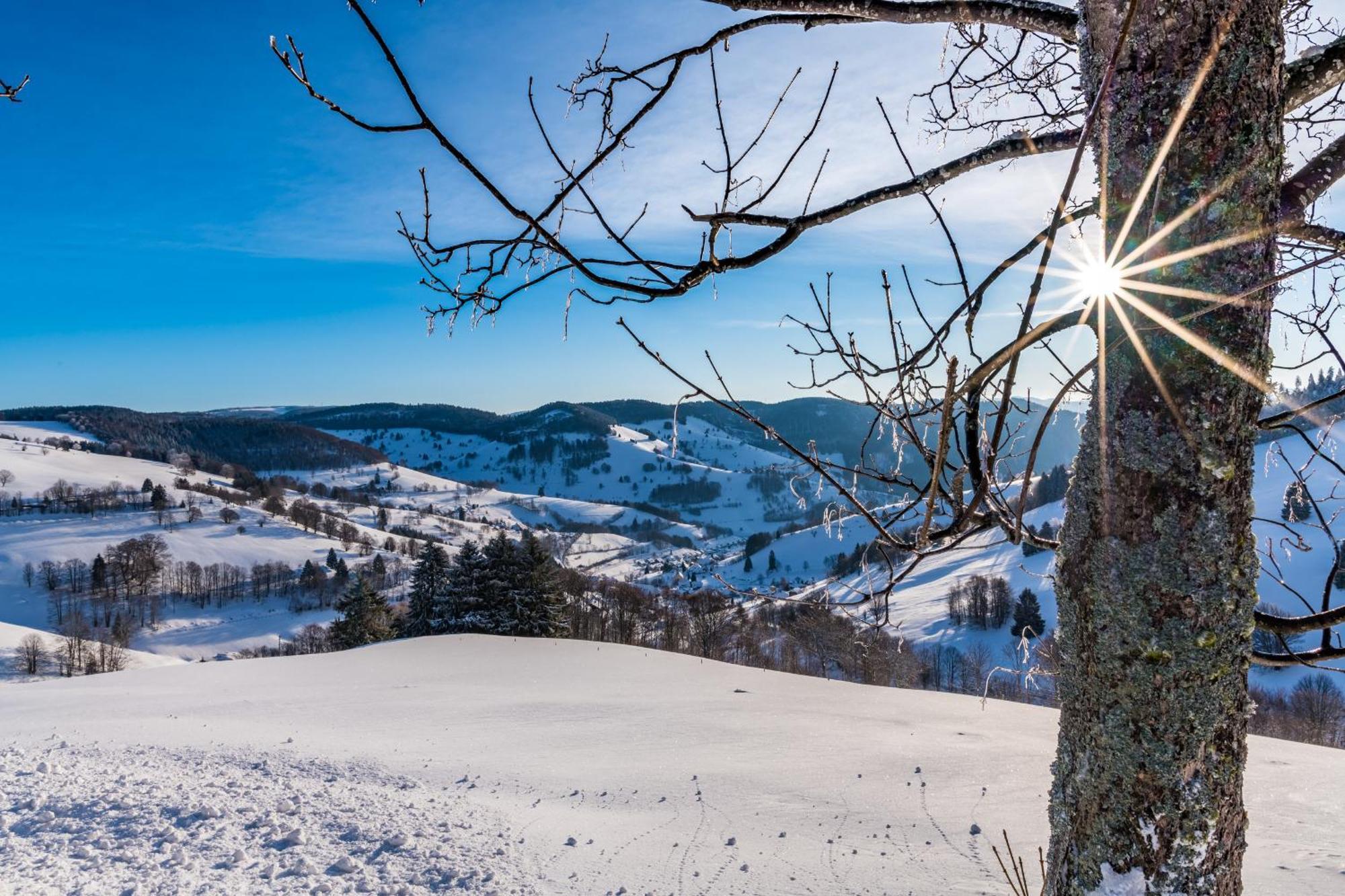 Appartamento Schwarzwaldliebe Frohnd Esterno foto