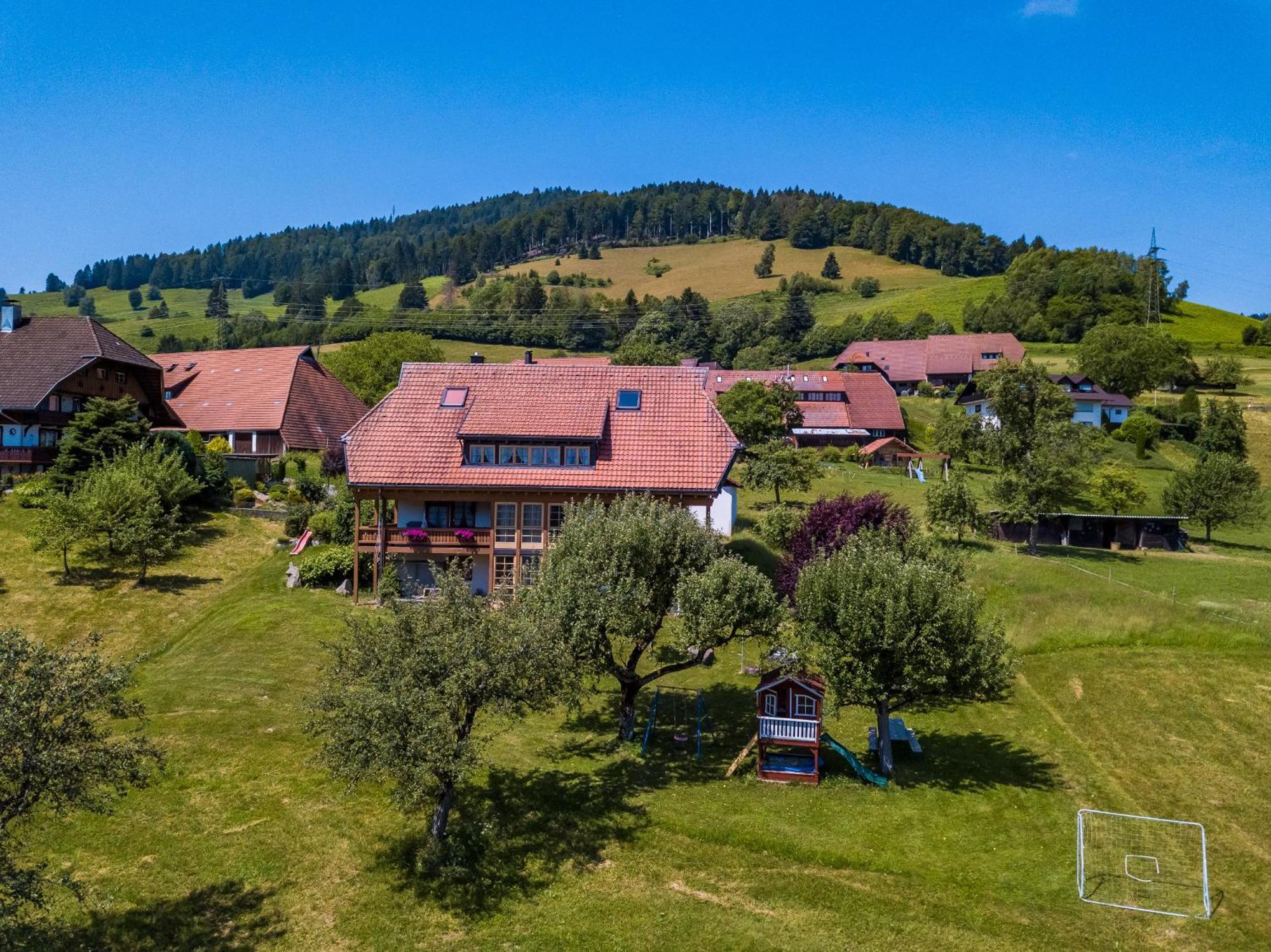 Appartamento Schwarzwaldliebe Frohnd Esterno foto